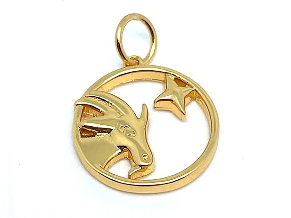 Treasure Box | Elegant Zodiac Pendant - Image 17