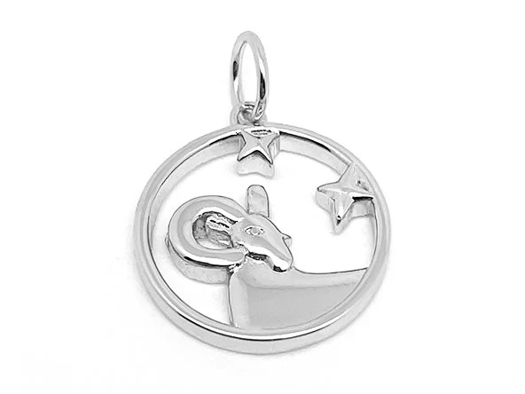 Treasure Box | Elegant Zodiac Pendant - Image 20