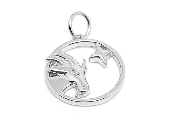 Treasure Box | Elegant Zodiac Pendant - Image 29