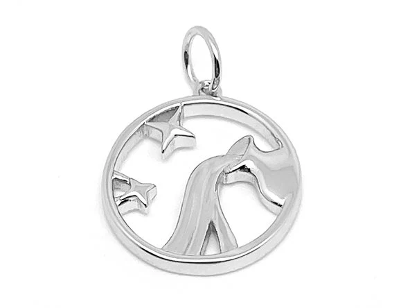 Treasure Box | Elegant Zodiac Pendant - Image 30