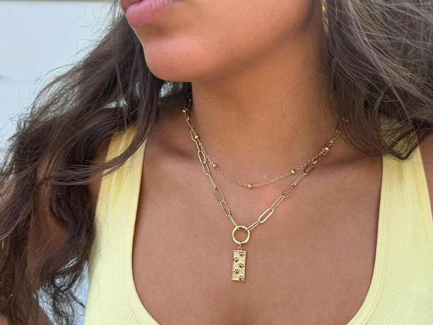 Paws in the Sand Pendant - Image 3